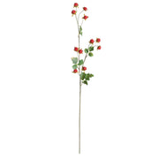 Wild Raspberry Stem 31"