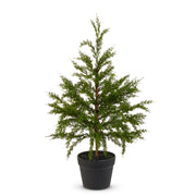 27" Potted Cedar Tree