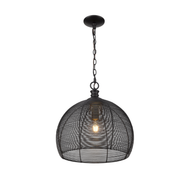Hayven 1 Light Pendant