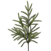 36" Forest Norfolk Pine Spray