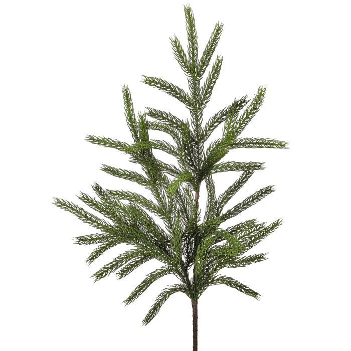 36" Forest Norfolk Pine Spray