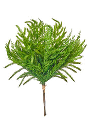 17" Cedar Norfolk Pine Bundle