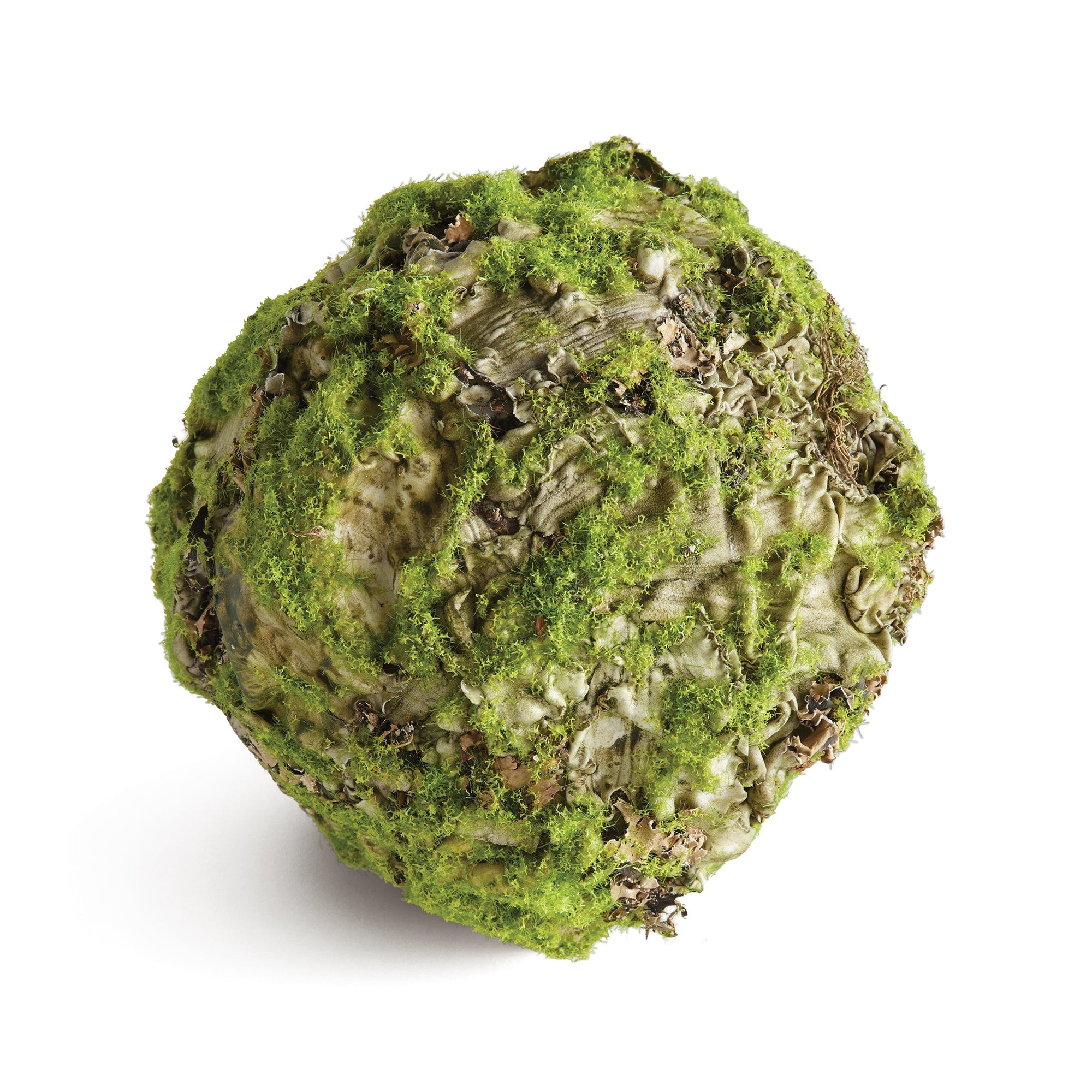 6.5" Mossy Lichen Orb