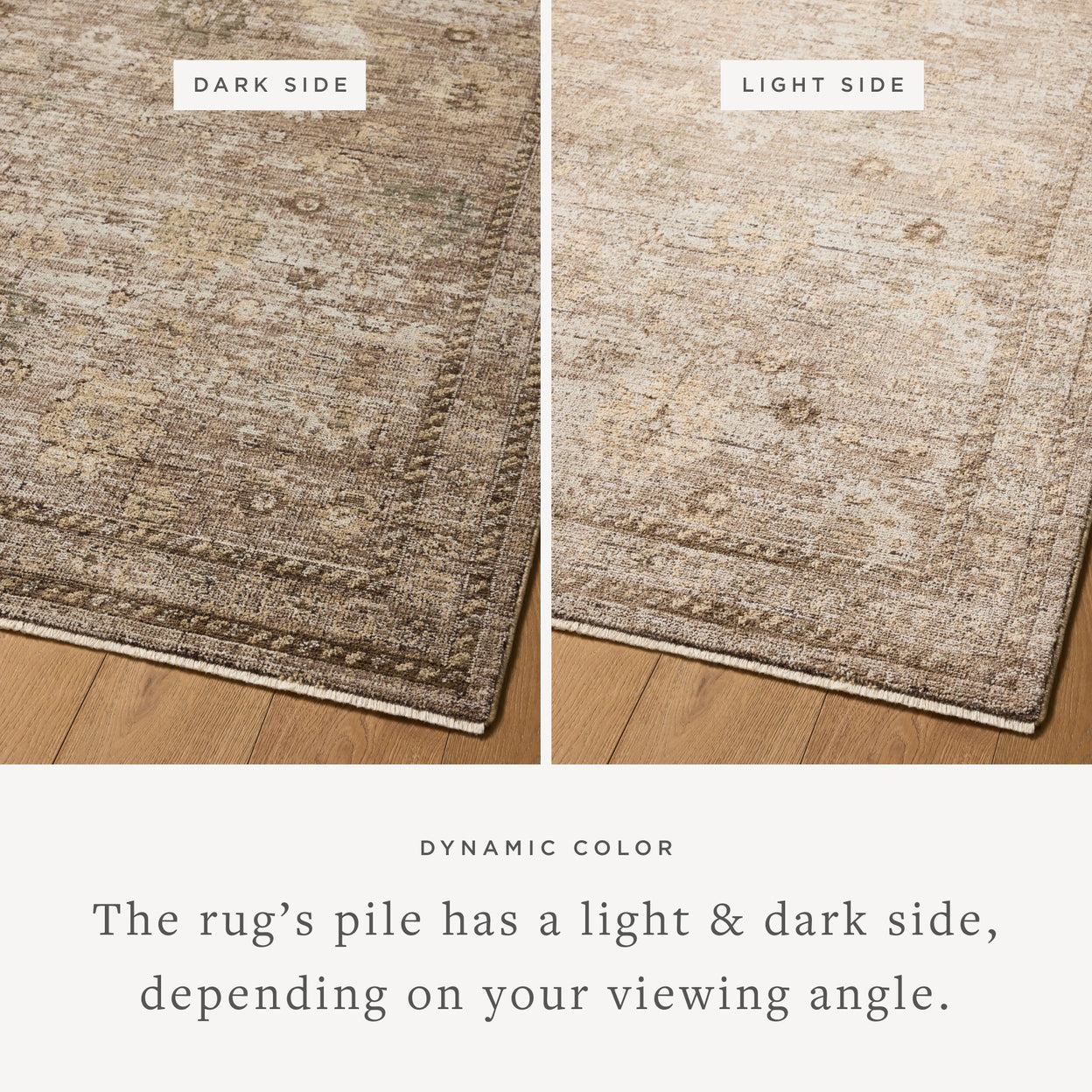Priscilla Sand / Earth Rug