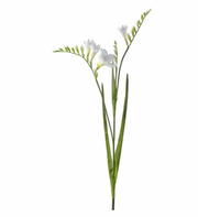 White Freesia Spray