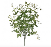 Tradescantia Stem