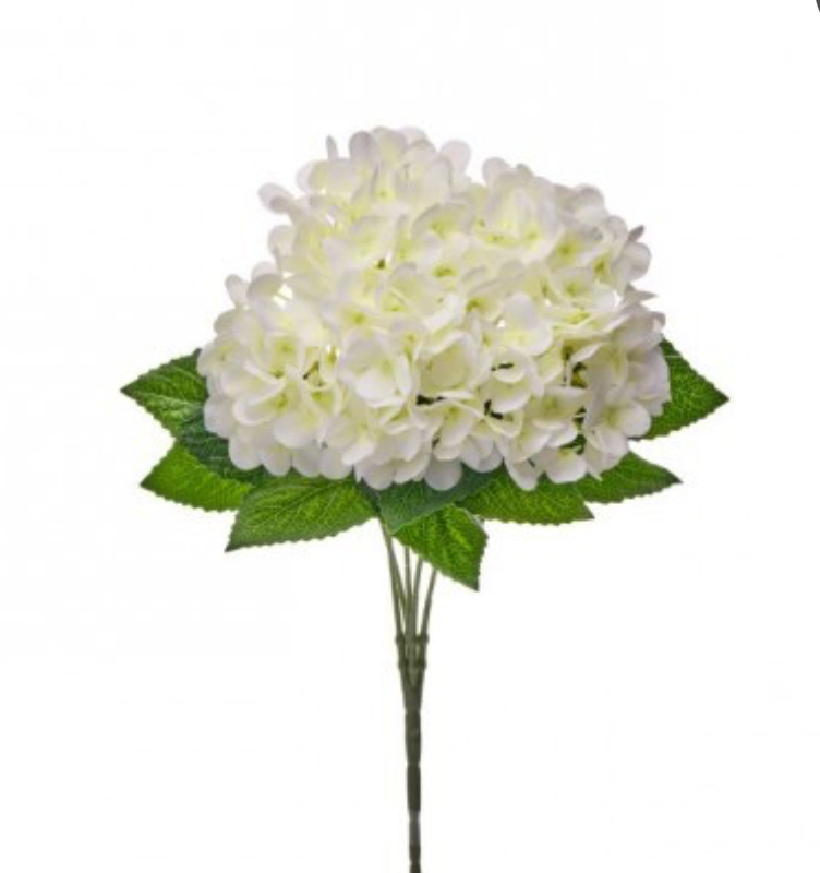 White Hydrangea Bush