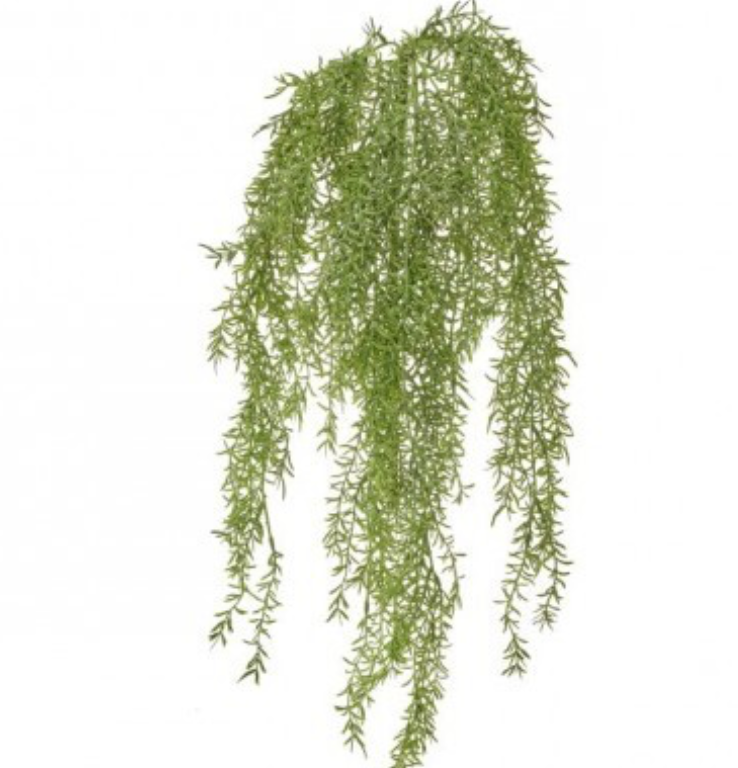 Green Springeri Stim