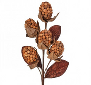 18" Autumn Pod Berry Spray - Nutmeg