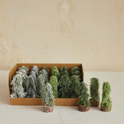Faux Evergreen Trees with Natural Wood
