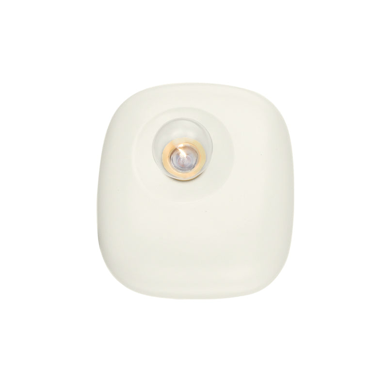 Colleen Wall Sconce