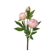 Blush Peony Bud Spray