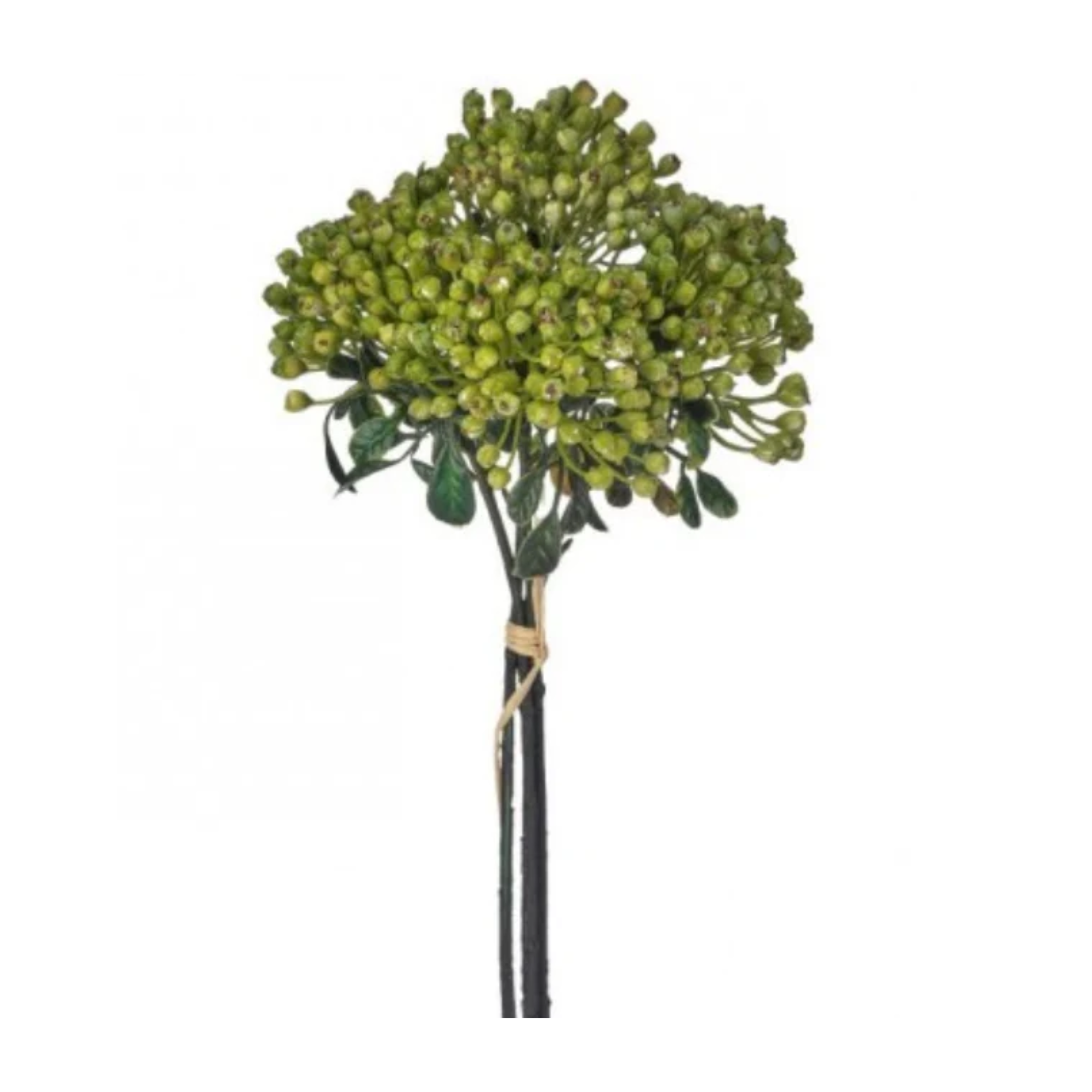 Green Cottage Berry Bundle