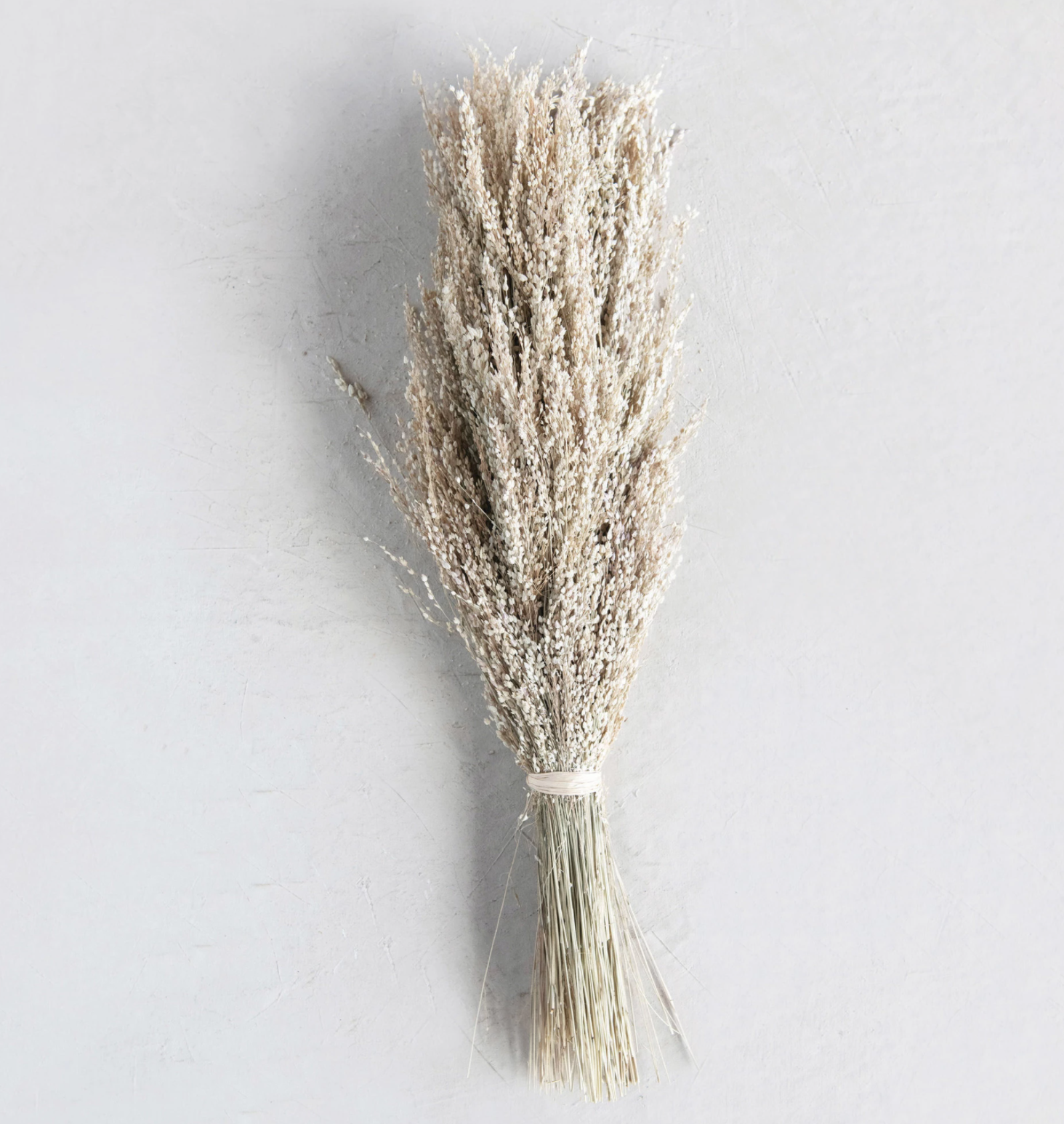 Dried Natural Star Grass Bunch