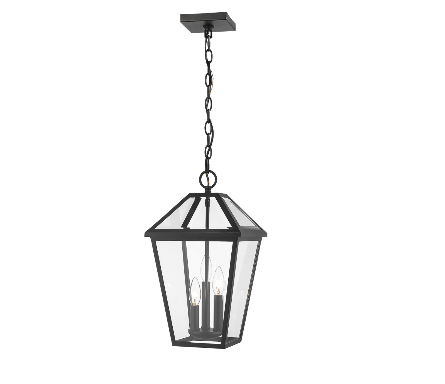 Talynn Outdoor Pendant