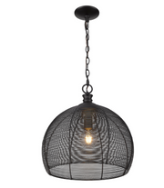 Hayven 1 Light Pendant