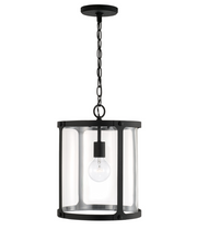 Hagen 1 Light Pendant