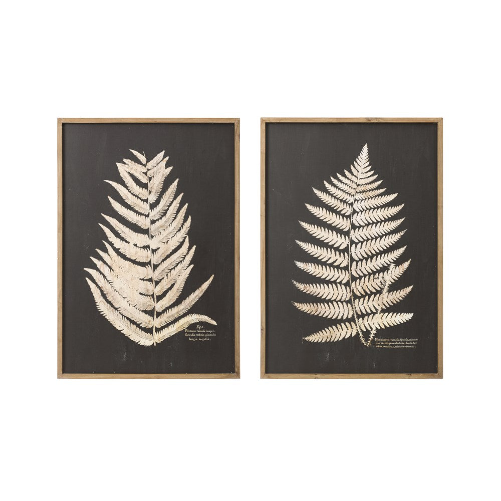 Framed Fern Leaf