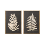 Framed Fern Leaf